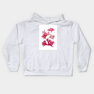 Carola Seaweed Kids Hoodie